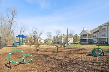 Dog park